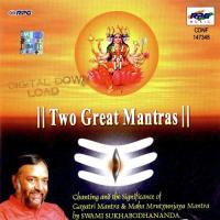 Two Great Mantras By Swami Sukhabodhananda songs mp3