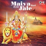 Chandan Ke Jhoole Resham (From "Maa Ke Dwaare Chalna") Richa Sharma Song Download Mp3