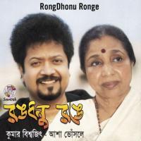 Mon Amar Projapotir Asha Bhosle Song Download Mp3