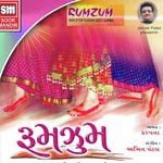 Dhuni Re Dhakhavi Beli Kalpana Song Download Mp3
