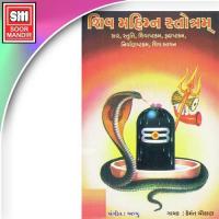 Pashu Na Pati Paapnash Hemant Chauhan Song Download Mp3