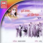 Hare Rama Hare Krishna Dhoon 1 Sadhana Sargam Song Download Mp3