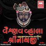 Vallabhkulna Valla Shreenathji Parthiv Gohil Song Download Mp3
