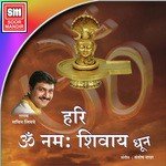 Hari Om Namah Shivay (Dhoon) Sachin Limaye Song Download Mp3