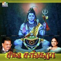 Anbe Katha S. P. Balasubrahmanyam,Malathi Song Download Mp3