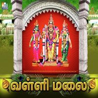 Thiruthaniyil Abarna,Sunder Rajan Song Download Mp3