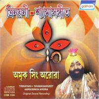 Shyamamayer Nat Mandire Amrik Singh Arora Song Download Mp3