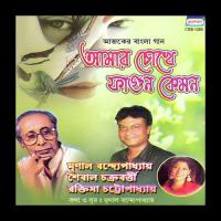 Ekdin Shybal Chakrabarty Song Download Mp3