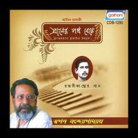 Ami Dekhechi Jiban Bhore Swapan Bandyopadhyayy Song Download Mp3