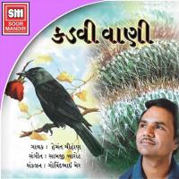 Pujari Taro Padado De Zat Padi Hemant Chauhan Song Download Mp3