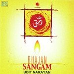 Jai Ganesh Jai Siddhivinayak Udit Narayan Song Download Mp3
