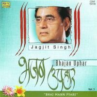 Hey Gobind Hey Gopal Jagjit Singh Song Download Mp3