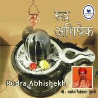 Rudra Abhishekh songs mp3