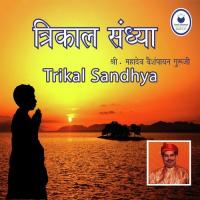 Gayatri Mantra Jap 108 Shri Mahadev Vaishampayan Song Download Mp3