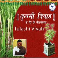 Navgrh Prarthana Pt. V.K. Vaishampayan Song Download Mp3