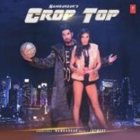 Crop Top Nambardar Song Download Mp3