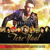 Dj Harvey - Tere Naal songs mp3
