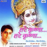 Shree Krishna Naam Dhun Jagjit Singh Song Download Mp3
