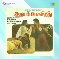 Idhayam Idhayam S.P. Balasubrahmanyam,S. Janaki Song Download Mp3