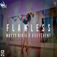 Flawless Nasty Ninja,Diefferent Song Download Mp3