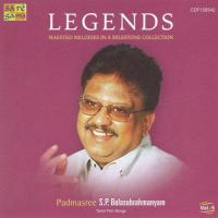 Manasukkul Oru Puyal S.P. Balasubrahmanyam,Sadhana Sargam Song Download Mp3