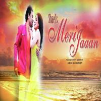 Shael&039;s Meri Jaaan Shael Oswal Song Download Mp3