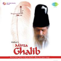Mirza Ghalib - T V Serial songs mp3