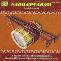 Nadhaswaram - Carnatic Instrumental songs mp3