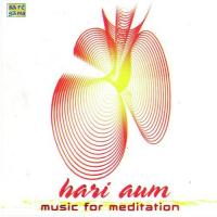Meditation At Night Raag Darbari Sadhana Sargam,Ravindra Sathe Song Download Mp3