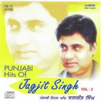 Punjabi Hits Of Jagjit Singh - Vol. 2 songs mp3