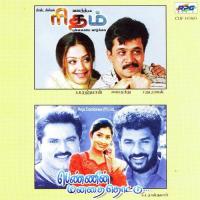 Rhythm Pennin Manathai Tamil Film songs mp3
