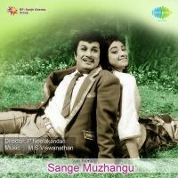 Chittirai Solaigale T. M. Soundara Rajan Song Download Mp3