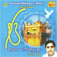Satnaam Waheguru Dhun Jagjit Singh Song Download Mp3
