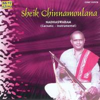 Sheik Chinnamoulana - Nadhaswaram Venka songs mp3