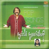 Pattu Maami A.E. Manoharan,I. Shravya Song Download Mp3