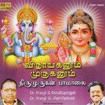 Vetrivel Dr. Seerkazhi S. Govindarajan Song Download Mp3