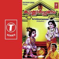 Krishnarpanam songs mp3