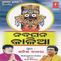 Nabaghan Kalia Anil Bawra Song Download Mp3