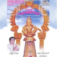 Swamiye Thavaka Sunny Nair Song Download Mp3
