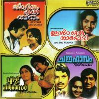Kalivanjikalil Vani Jairam Song Download Mp3