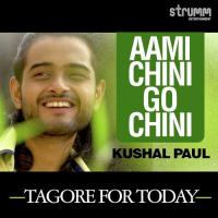 Aami Chini Go Chini Tomare Kushal Paul Song Download Mp3