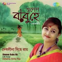 Brajaro Kanhaiya Jadukar Go Debalina Sinha Roy Song Download Mp3