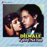 Dilwale Kabhi Na Hare Shabbir Kumar,Kumar Sanu,Nadeem Shravan Song Download Mp3
