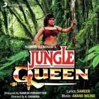 O Meri Jungle Queen Anand-Milind,Kavita Krishnamurthy,Udit Narayan Song Download Mp3