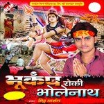 Bhukamp Roki Bholenath songs mp3