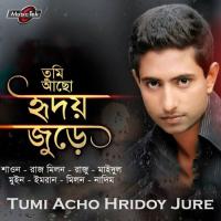 Tumi Acho Hridoy Jure songs mp3