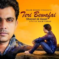 Teri Bewafai, Pt. 2 Naim Faraz Song Download Mp3