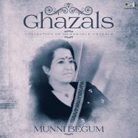 Ghazals - Collection of Memorable Ghazals By Munni Begum songs mp3