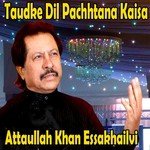 Bin Tere Awaz Yun Attaullah Khan Essakhailvi Song Download Mp3