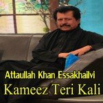 Tu Nahin To Terian Yaadan Attaullah Khan Essakhailvi Song Download Mp3